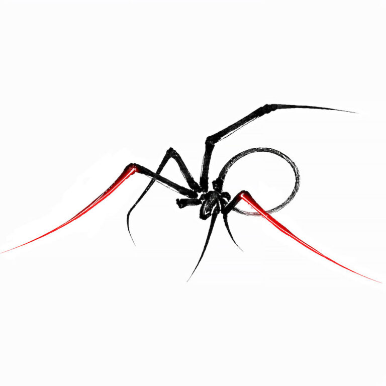 XPQ-21 – Little Spider