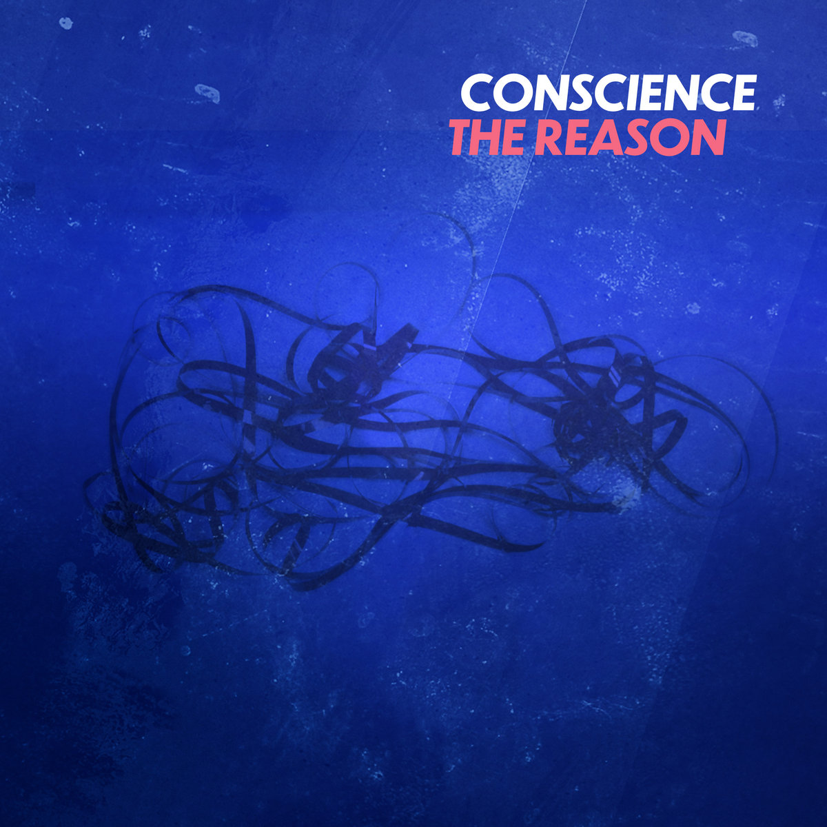 Conscience - The Reason - Conscience - The reason