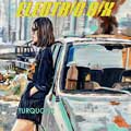 Electric Six - Turquoise - Electric Six - Turquoise