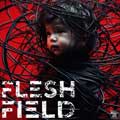 Flesh Field - Wounds of War - Flesh Field - Wounds of War