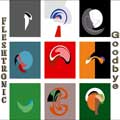 Fleshtronic - Goodbye - Fleshtronic - Goodbye