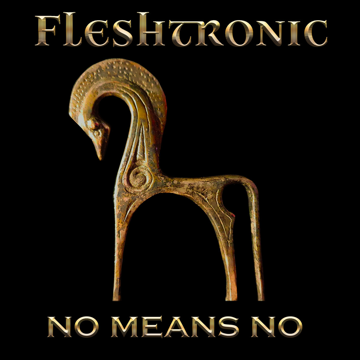 Fleshtronic - No Means No - Fleshtronic - No Means No