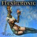 Fleshtronic - Time - Fleshtronic - Time