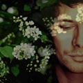 Isaac Howlett - Endless Night - Isaac Howlett - Endless Night
