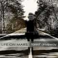 Life On Mars - Forest Driveway - Life On Mars - Forest Driveway