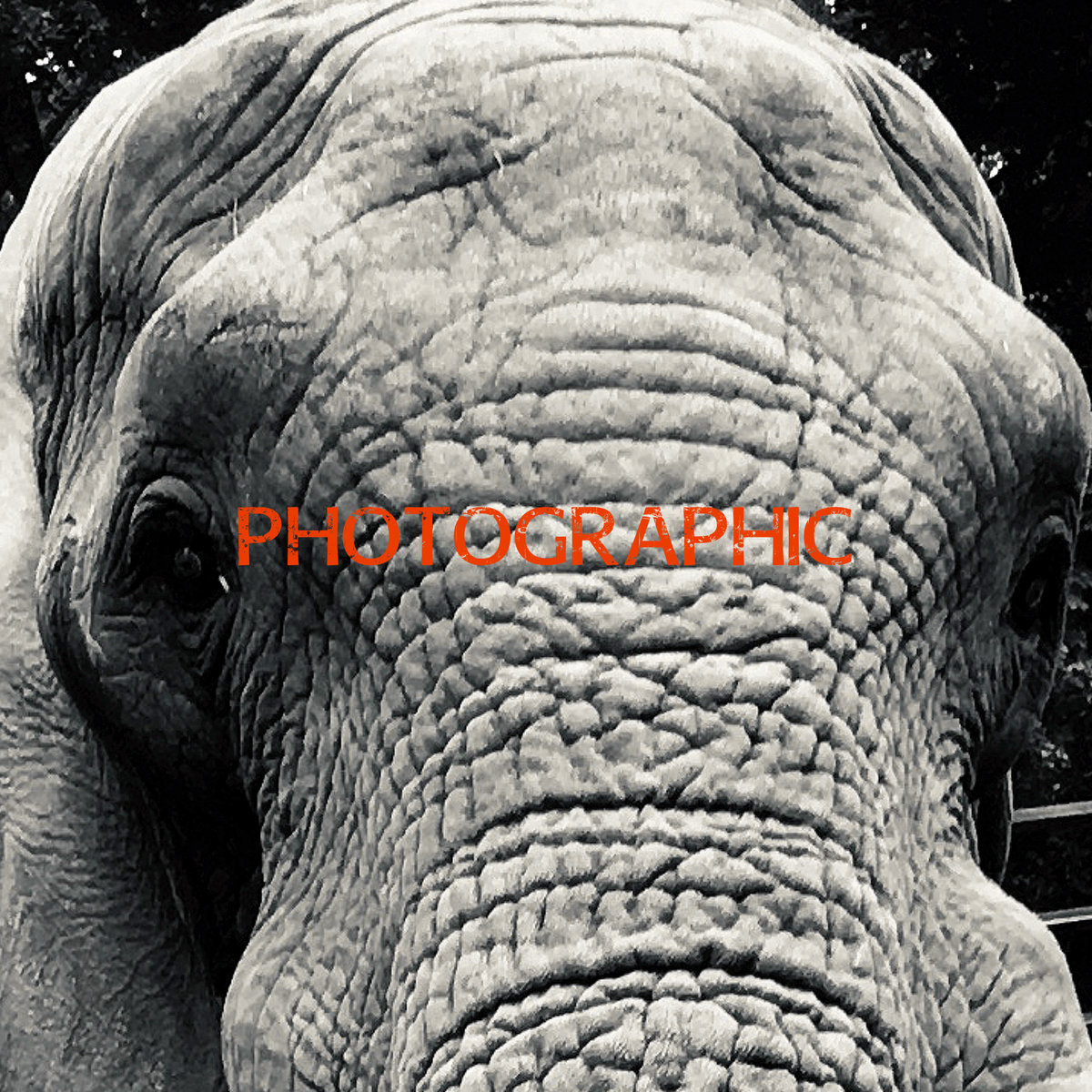 Mindmodvl - Photographic - Mindmodvl - Photographic