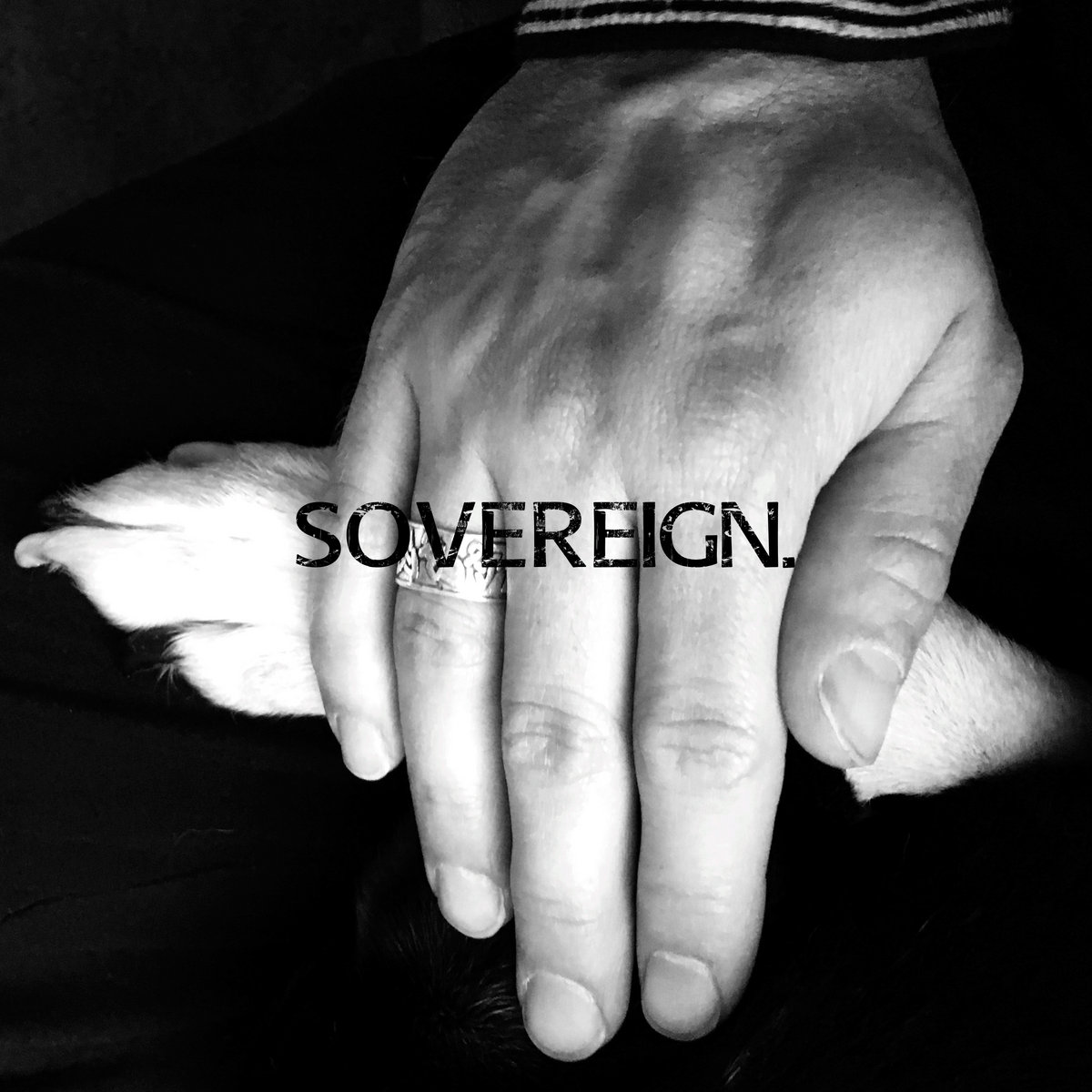 Mindmodvl - Sovereign. - Mindmodvl - Sovereign.