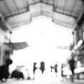 Morphose - The Open Shutter - Morphose - The Open Shutter