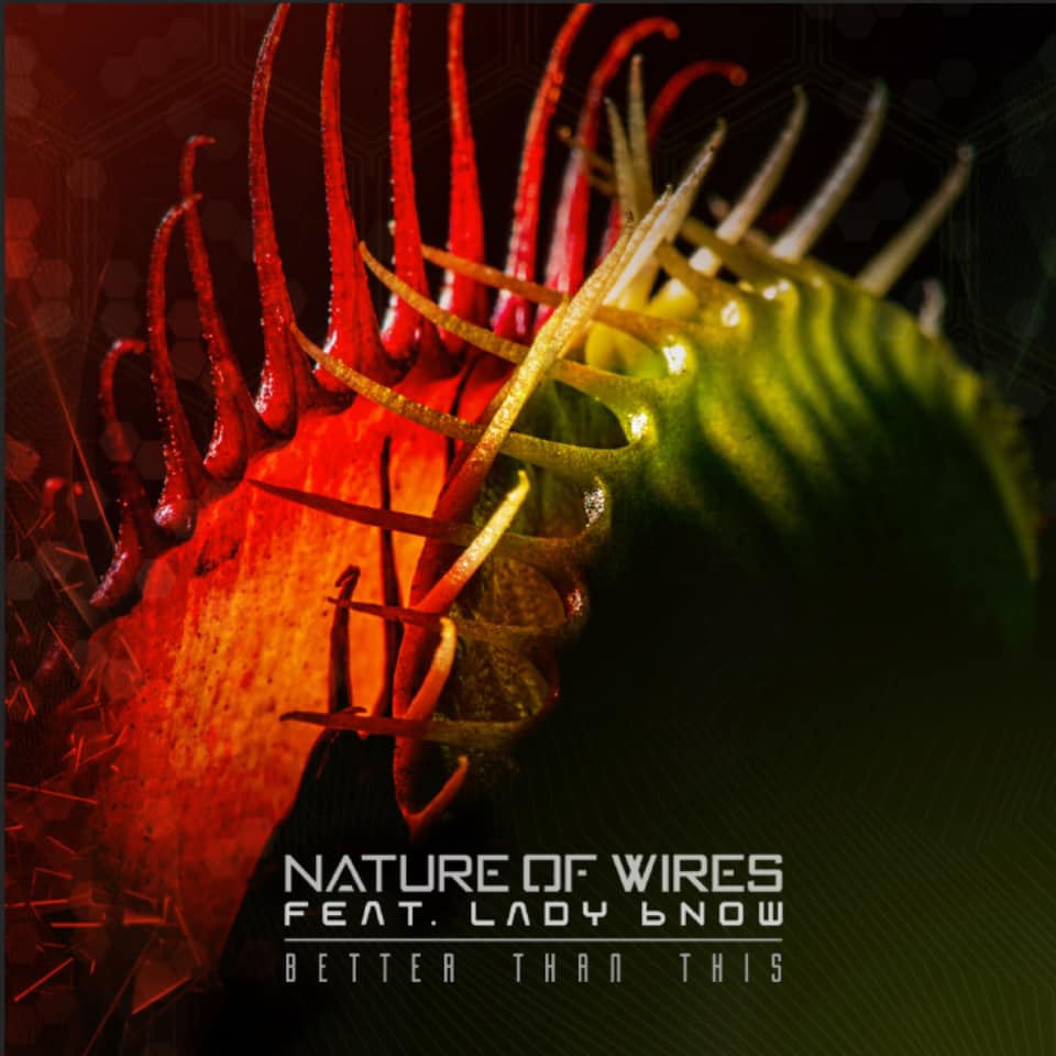 Nature of Wires - Better Than This (ft Lady bNOW) - Nature of Wires - Better Than This (ft Lady bNOW)