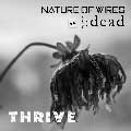 Nature Of Wires & J:dead - Thrive - Nature Of Wires & J:dead - Thrive