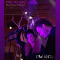 Platronic - The Forest - Platronic - The Forest