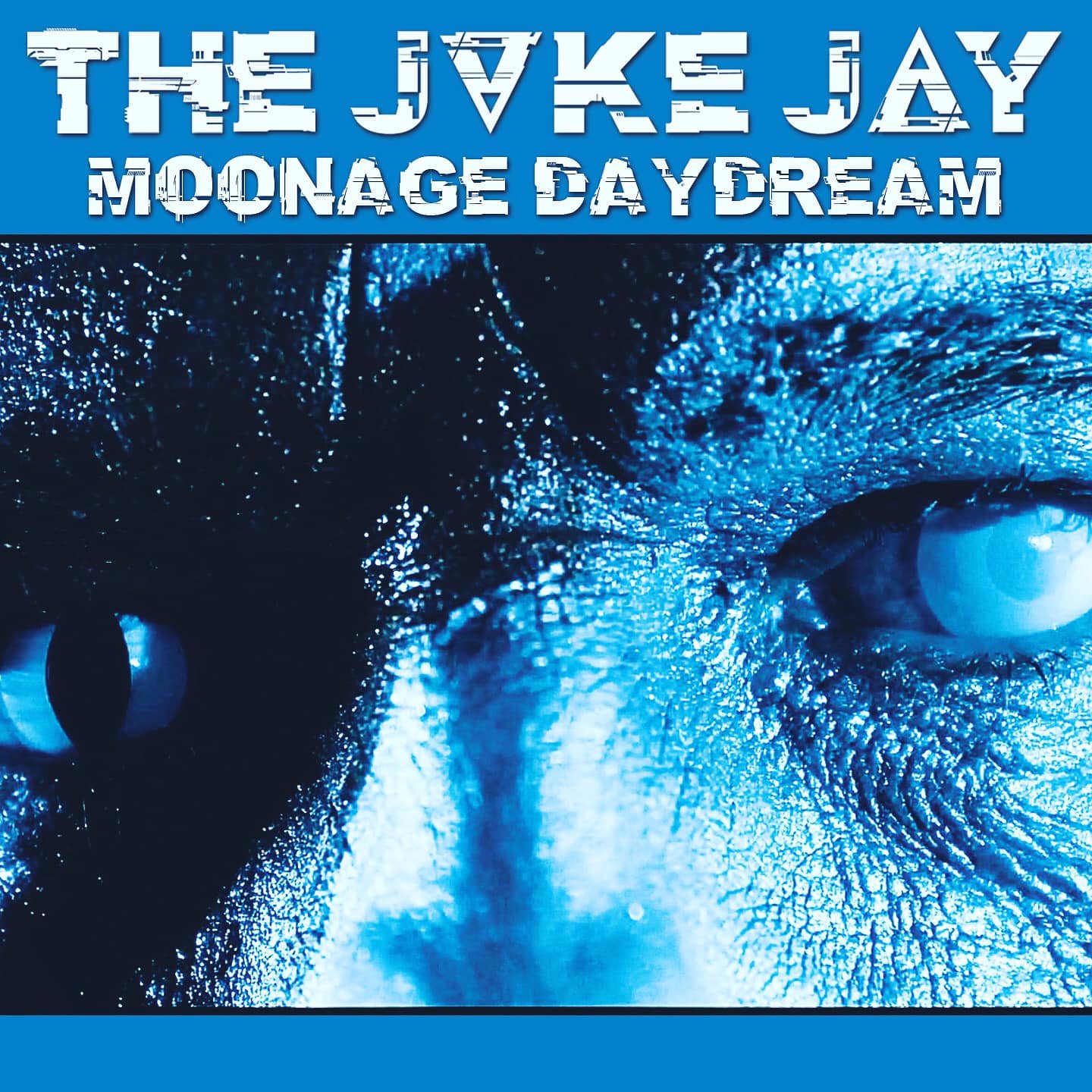 The Joke Jay - Moonage Daydream - The Joke Jay - Moonage Daydream