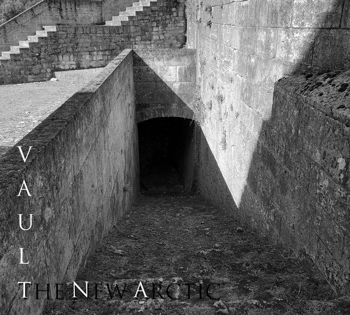 The New Arctic - Vault - The New Arctic - Vault