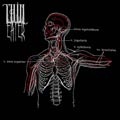 Thin Eater - Thin Eater - Thin Eater - Thin Eater